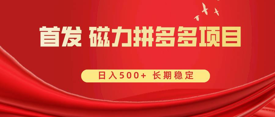 首发 磁力拼多多自撸  日入500-阿戒项目库