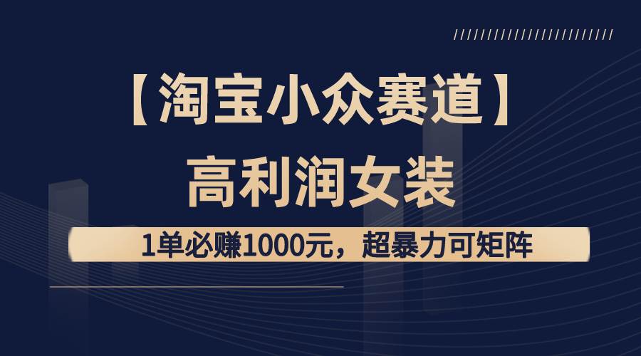 【淘宝小众赛道】高利润女装：1单必赚1000元，超暴力可矩阵-阿戒项目库