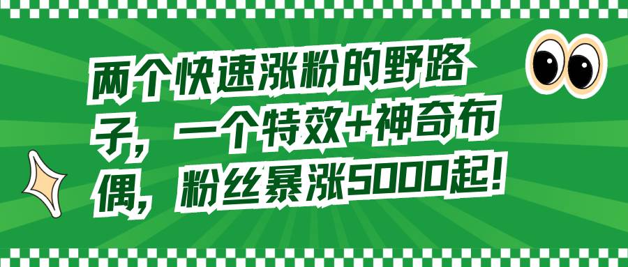 两个快速涨粉的野路子，一个特效 神奇布偶，粉丝暴涨5000起！-阿戒项目库