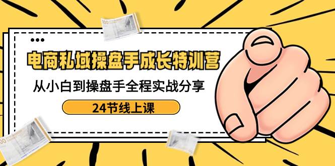 电商私域-操盘手成长特训营：从小白到操盘手全程实战分享-24节线上课-阿戒项目库