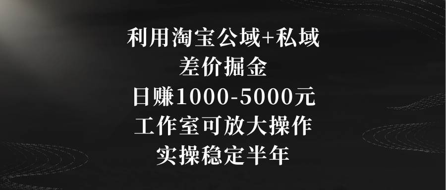 利用淘宝公域+私域差价掘金，日赚1000-5000元，工作室可放大操作，实操…-阿戒项目库