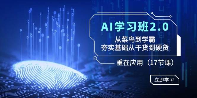 AI学习班2.0：从菜鸟到学霸，夯实基础从干货到硬货，重在应用（17节课）-阿戒项目库