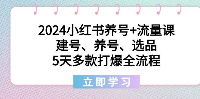 2024小红书养号+流量课：建号、养号、选品，5天多款打爆全流程-阿戒项目库