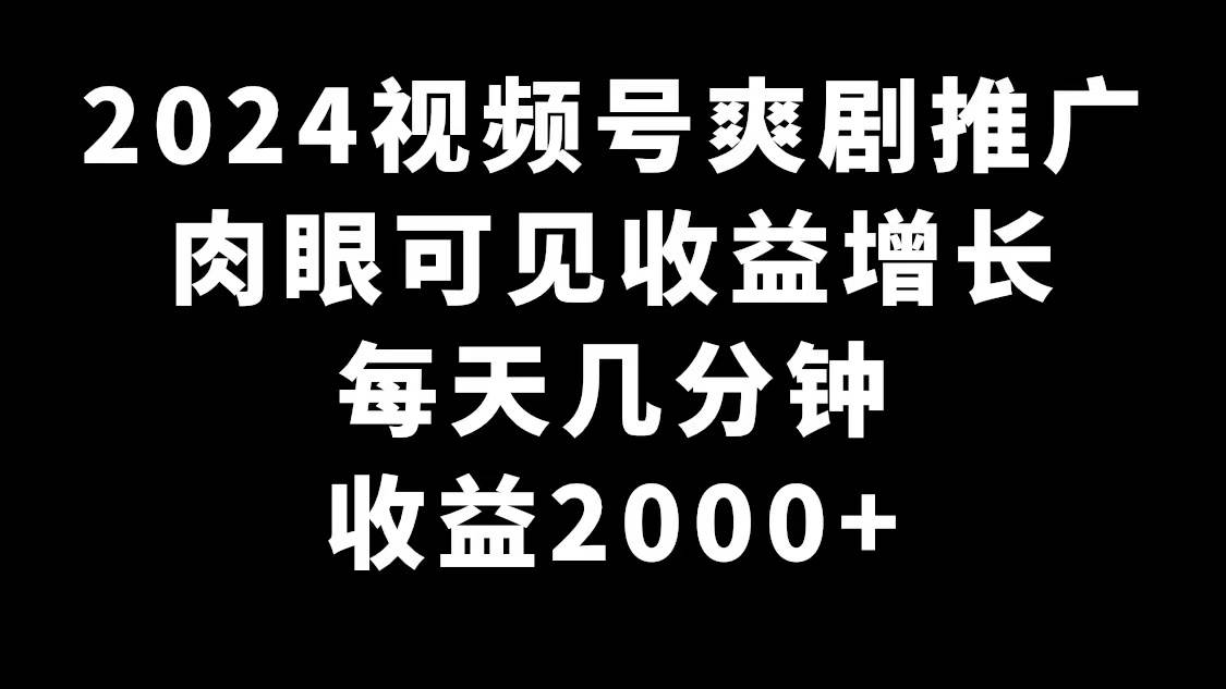2024视频号爽剧推广，肉眼可见的收益增长，每天几分钟收益2000+-阿戒项目库