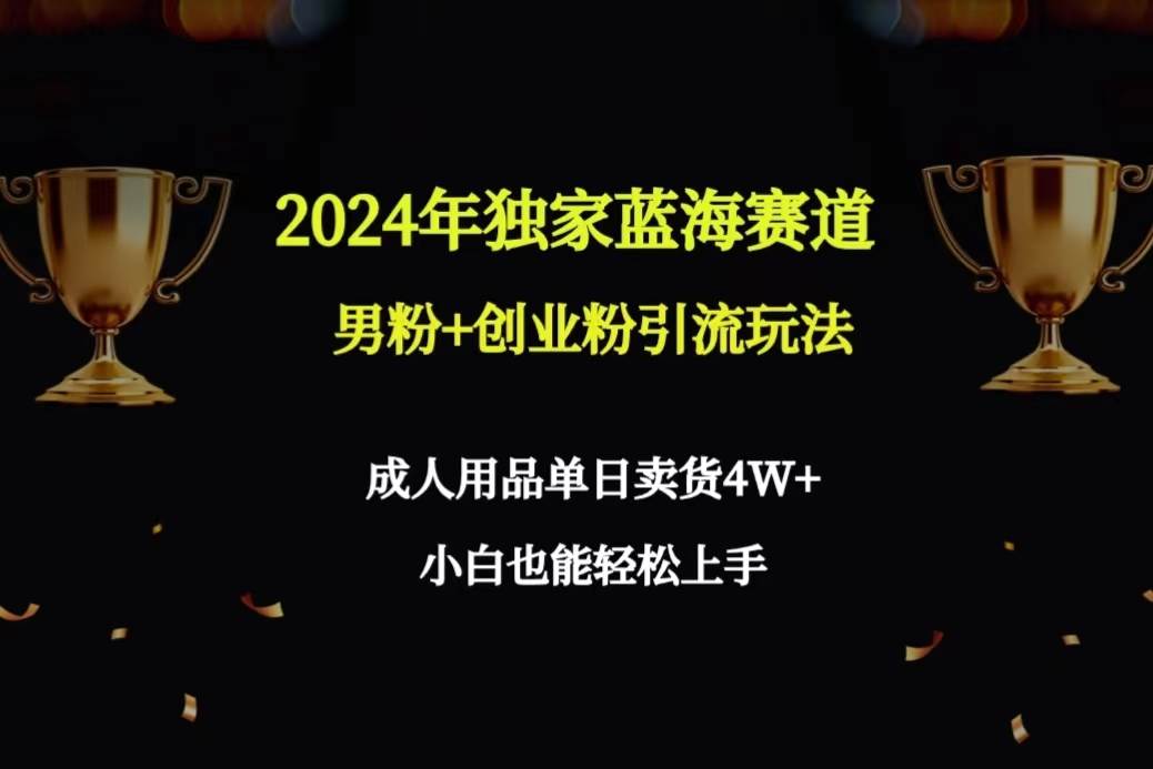 2024年独家蓝海赛道男粉+创业粉引流玩法，成人用品单日卖货4W+保姆教程-阿戒项目库