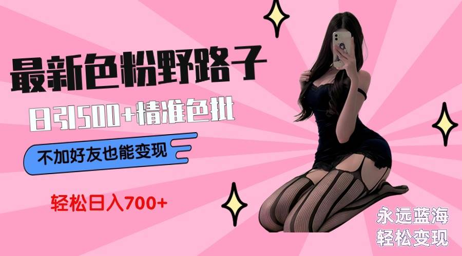 最新色粉变现野路子，日引500+老色批 可不加好友直接变现 小白轻松日入700+-阿戒项目库