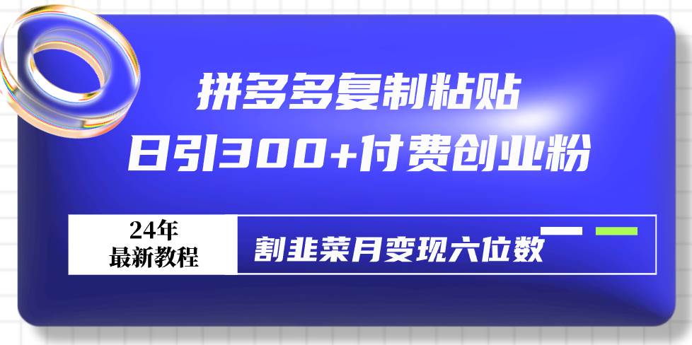 拼多多复制粘贴日引300+付费创业粉，割韭菜月变现六位数最新教程！-阿戒项目库