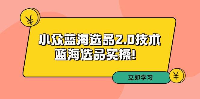 拼多多培训第33期：小众蓝海选品2.0技术-蓝海选品实操！-阿戒项目库