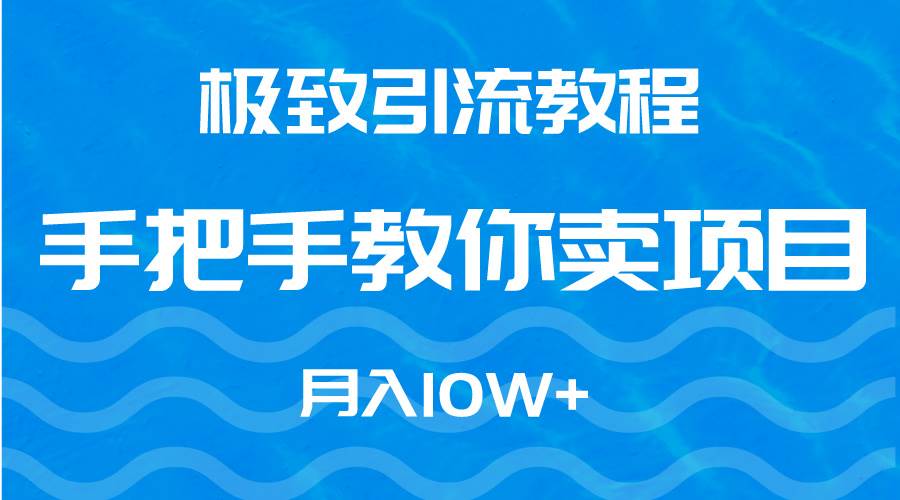 极致引流教程，手把手教你卖项目，月入10W+-阿戒项目库