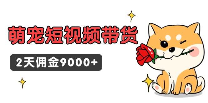 东哲日记·萌宠短视频带货，2天佣金9000+-阿戒项目库