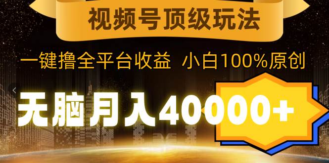 视频号顶级玩法，无脑月入40000+，一键撸全平台收益，纯小白也能100%原创-阿戒项目库