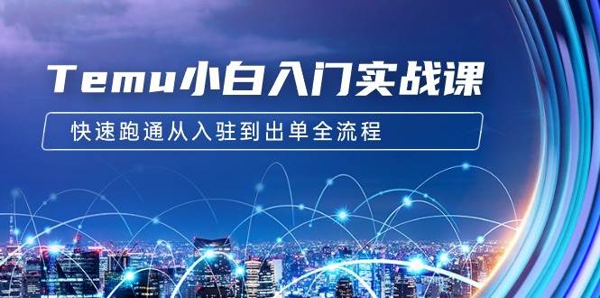 Temu小白入门实战课：跨境拼多多电商培训 快速跑通从入驻到出单全流程-12节-阿戒项目库