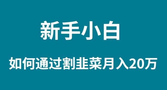 新手小白如何通过割韭菜月入 20W-阿戒项目库