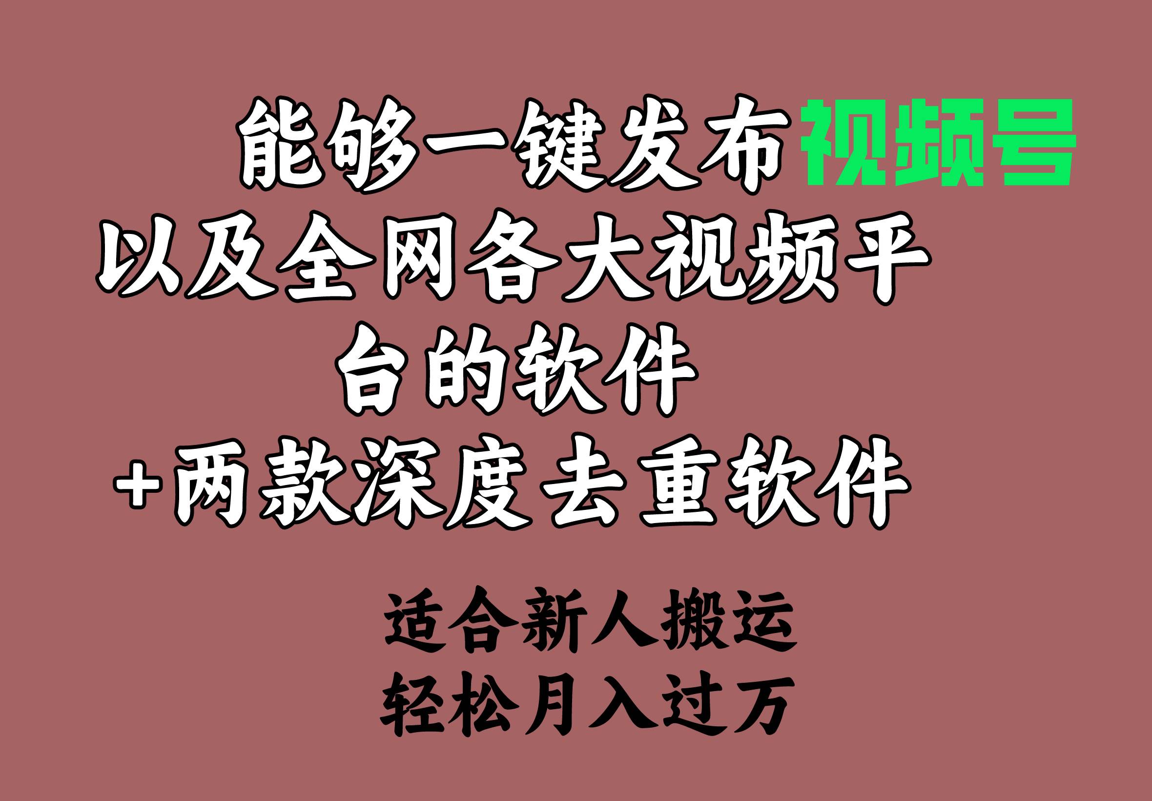 能够一键发布视频号以及全网各大视频平台的软件+两款深度去重软件 适合…-阿戒项目库