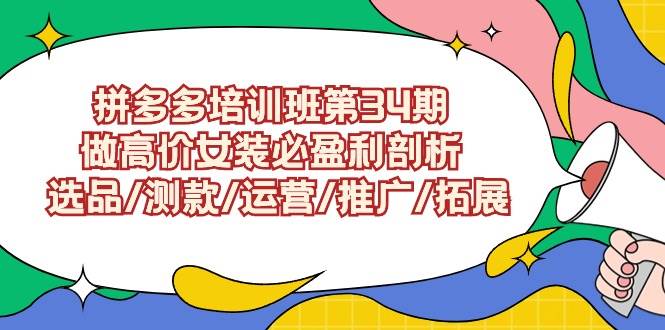 拼多多培训班第34期：做高价女装必盈利剖析  选品/测款/运营/推广/拓展-阿戒项目库