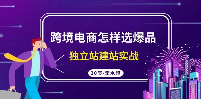 跨境电商怎样选爆品，独立站建站实战（20节高清无水印课）-阿戒项目库