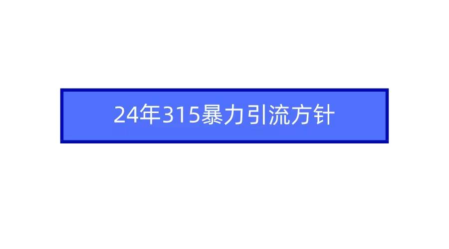 2024年315暴力引流方针-阿戒项目库