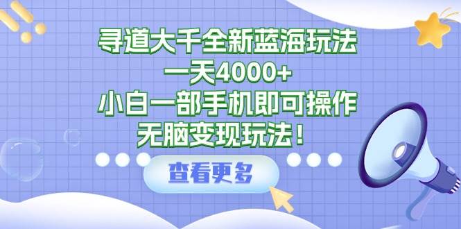 寻道大千全新蓝海玩法，一天4000+，小白一部手机即可操作，无脑变现玩法！-阿戒项目库