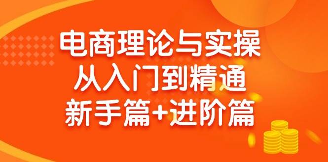 电商理论与实操从入门到精通 新手篇+进阶篇-阿戒项目库