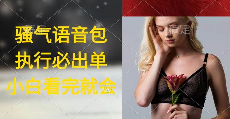 执行就出单，日入2000+，超火骚气语音包，小白看完课程就能马上实操-阿戒项目库