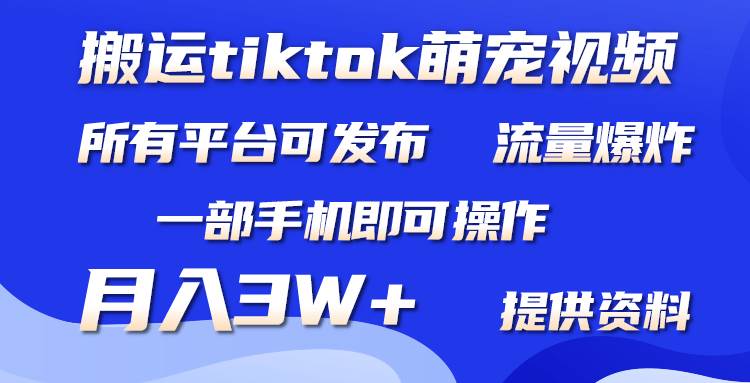 搬运Tiktok萌宠类视频，一部手机即可。所有短视频平台均可操作，月入3W+-阿戒项目库