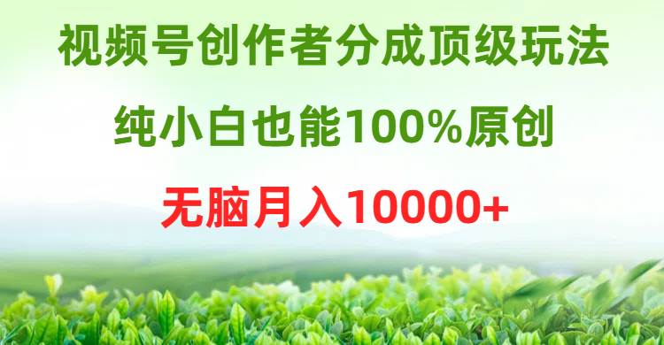 视频号创作者分成顶级玩法，纯小白也能100%原创，无脑月入10000+-阿戒项目库