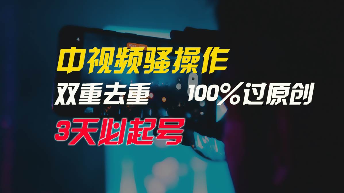 中视频骚操作，双重去重100%过原创，3天比必起号，简单无脑，月入3W+-阿戒项目库
