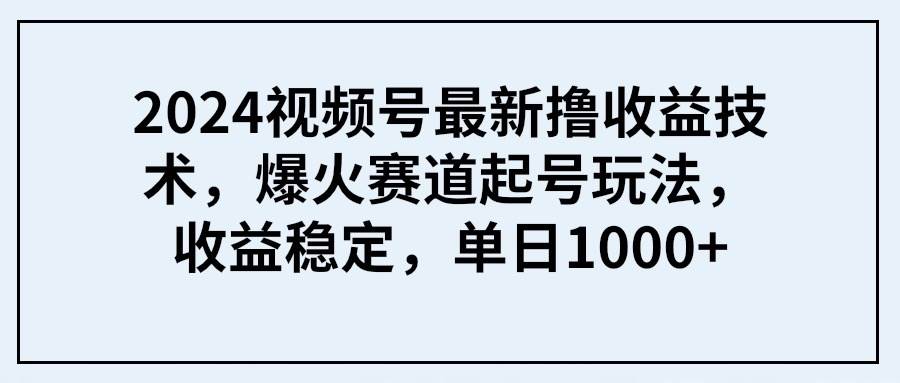 2024视频号最新撸收益技术，爆火赛道起号玩法，收益稳定，单日1000+-阿戒项目库