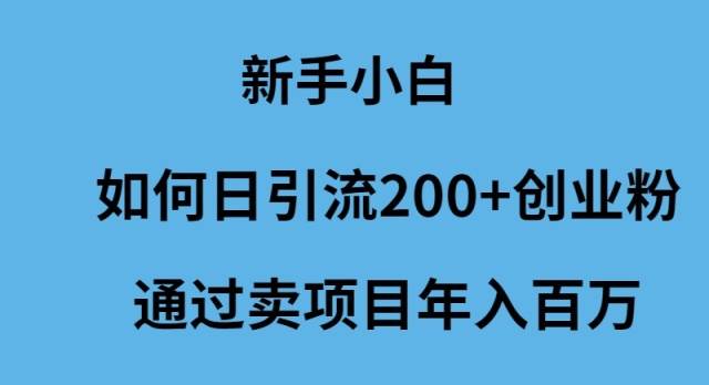 新手小白如何日引流200+创业粉通过卖项目年入百万-阿戒项目库