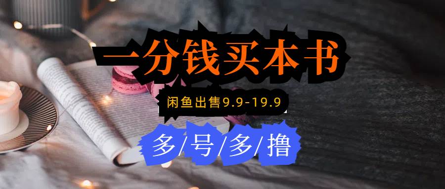 每天花1分钱买一本书，闲鱼出售9.9-19.9不等，多账号多撸 新手小白均可操作-阿戒项目库