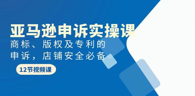 亚马逊-申诉实战课，商标、版权及专利的申诉，店铺安全必备-阿戒项目库