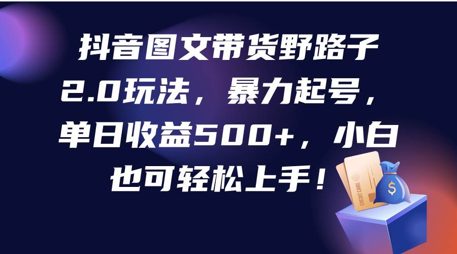 抖音图文带货野路子2.0玩法，暴力起号，单日收益500+，小白也可轻松上手！-阿戒项目库
