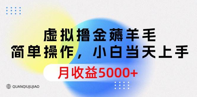 虚拟撸金薅羊毛，简单操作，小白当天上手，月收益5000+-阿戒项目库