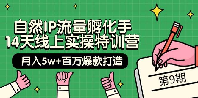 自然IP流量孵化手 14天线上实操特训营【第9期】月入5w+百万爆款打造 (74节)-阿戒项目库