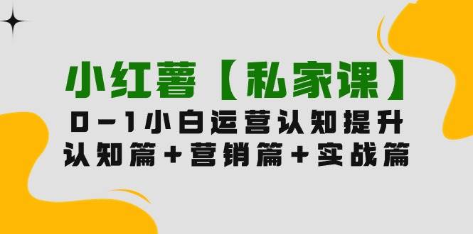 小红薯【私家课】0-1玩赚小红书内容营销，认知篇+营销篇+实战篇（11节课）-阿戒项目库