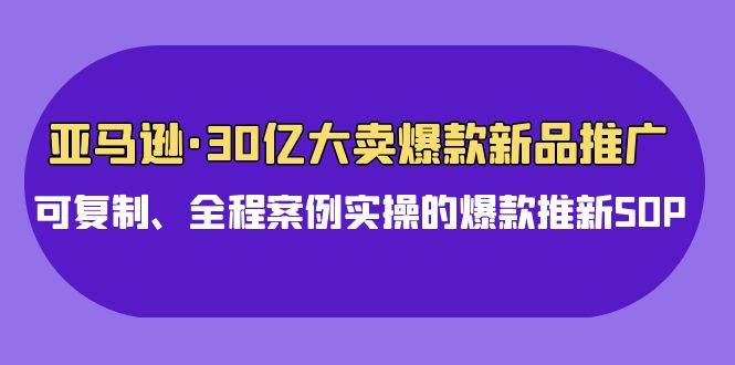 亚马逊30亿·大卖爆款新品推广，可复制、全程案例实操的爆款推新SOP-阿戒项目库