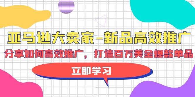 亚马逊 大卖家-新品高效推广，分享如何高效推广，打造百万美金爆款单品-阿戒项目库