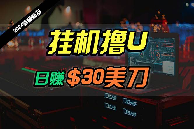 日赚30美刀，2024最新海外挂机撸U内部项目，全程无人值守，可批量放大-阿戒项目库