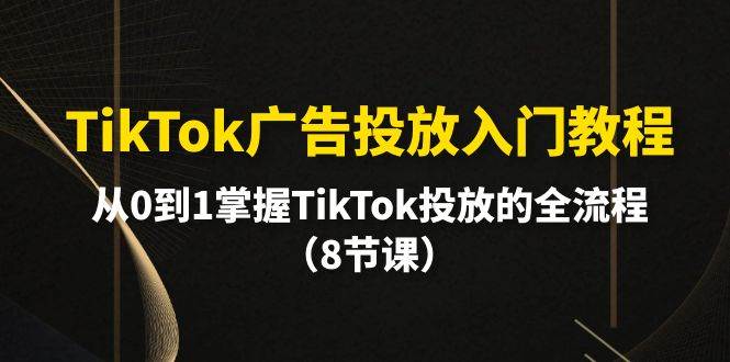 TikTok广告投放入门教程，从0到1掌握TikTok投放的全流程（8节课）-阿戒项目库