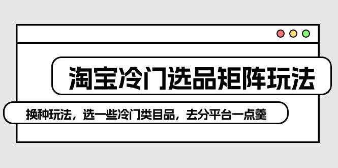 淘宝冷门选品矩阵玩法：换种玩法，选一些冷门类目品，去分平台一点羹-阿戒项目库