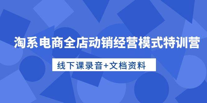 淘系电商全店动销经营模式特训营，线下课录音+文档资料-阿戒项目库