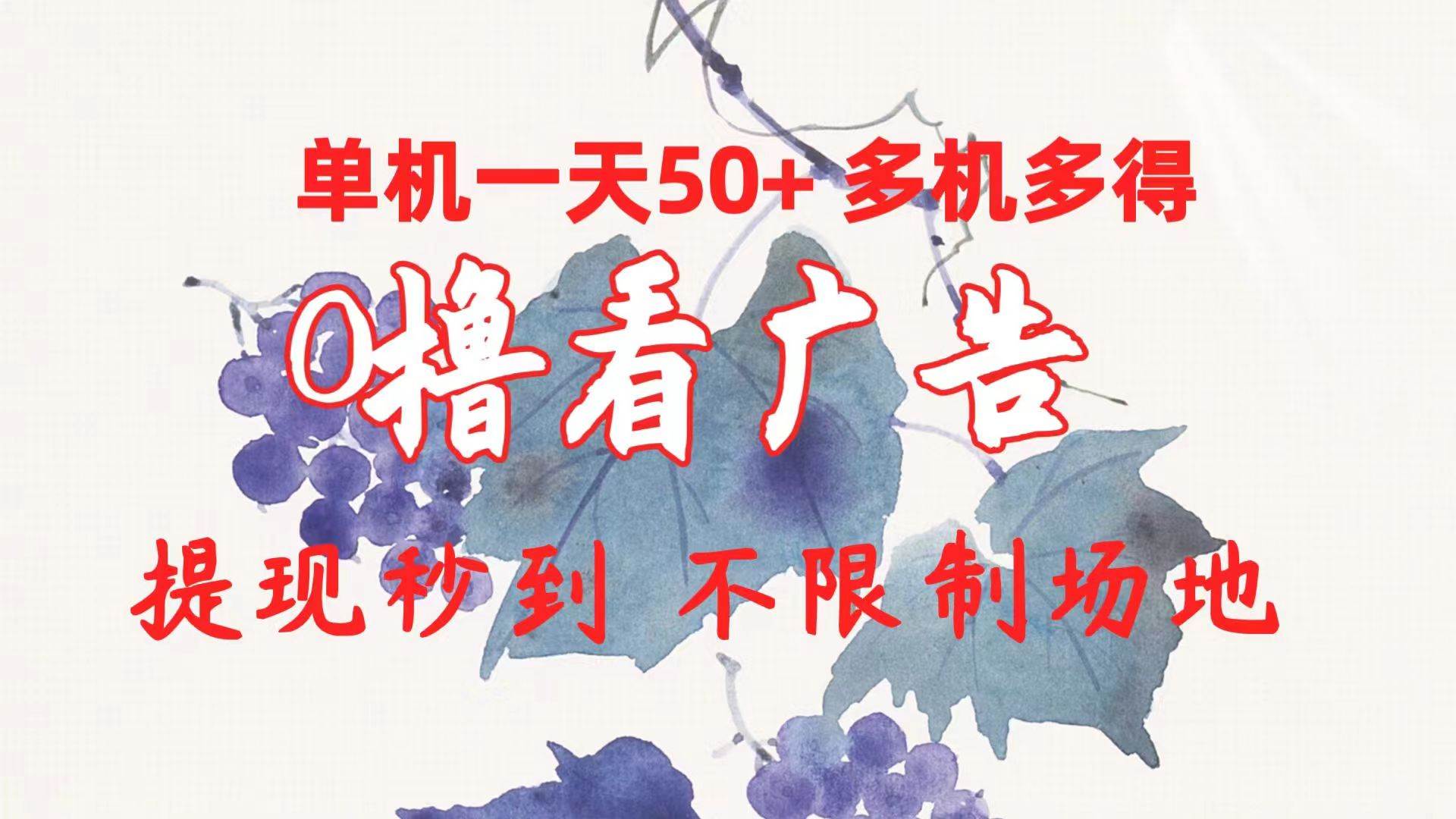 0撸看广告 单机一天50+多机多得 提现秒到 不限制场地操作-阿戒项目库