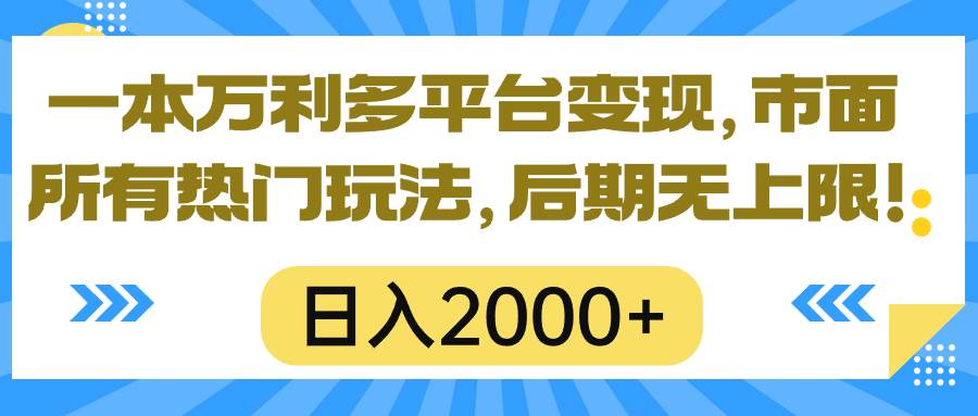一本万利多平台变现，市面所有热门玩法，日入2000+，后期无上限！-阿戒项目库