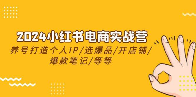 2024小红书电商实战营，养号打造IP/选爆品/开店铺/爆款笔记/等等（24节）-阿戒项目库