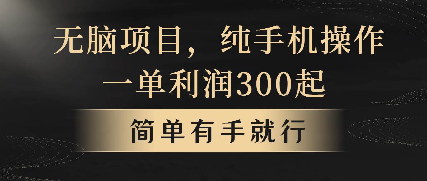无脑项目，一单几百块，轻松月入5w+，看完就能直接操作-阿戒项目库