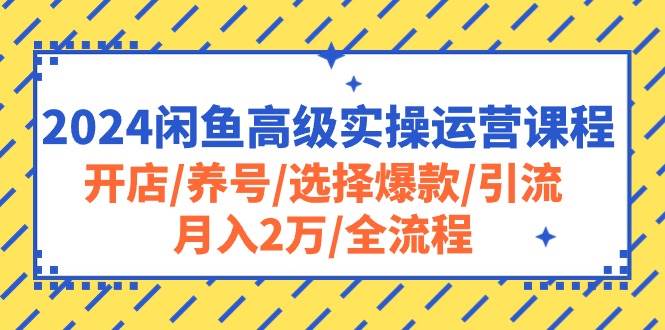 2024闲鱼高级实操运营课程：开店/养号/选择爆款/引流/月入2万/全流程-阿戒项目库
