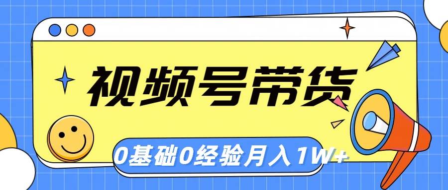 视频号轻创业带货，零基础，零经验，月入1w+-阿戒项目库