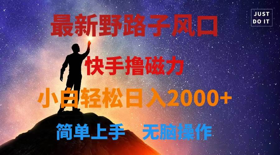最新风口！快手撸磁力，野路子，小白无脑操作日入2000+-阿戒项目库