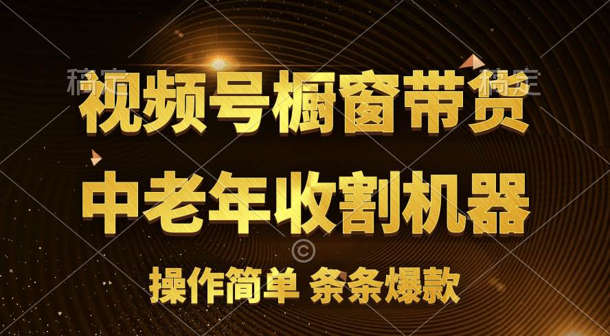 [你的孩子成功取得高位]视频号最火爆赛道，橱窗带货，流量分成计划，条…-阿戒项目库
