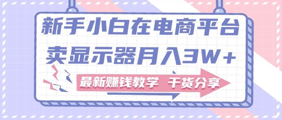 新手小白如何做到在电商平台卖显示器月入3W+，最新赚钱教学干货分享-阿戒项目库